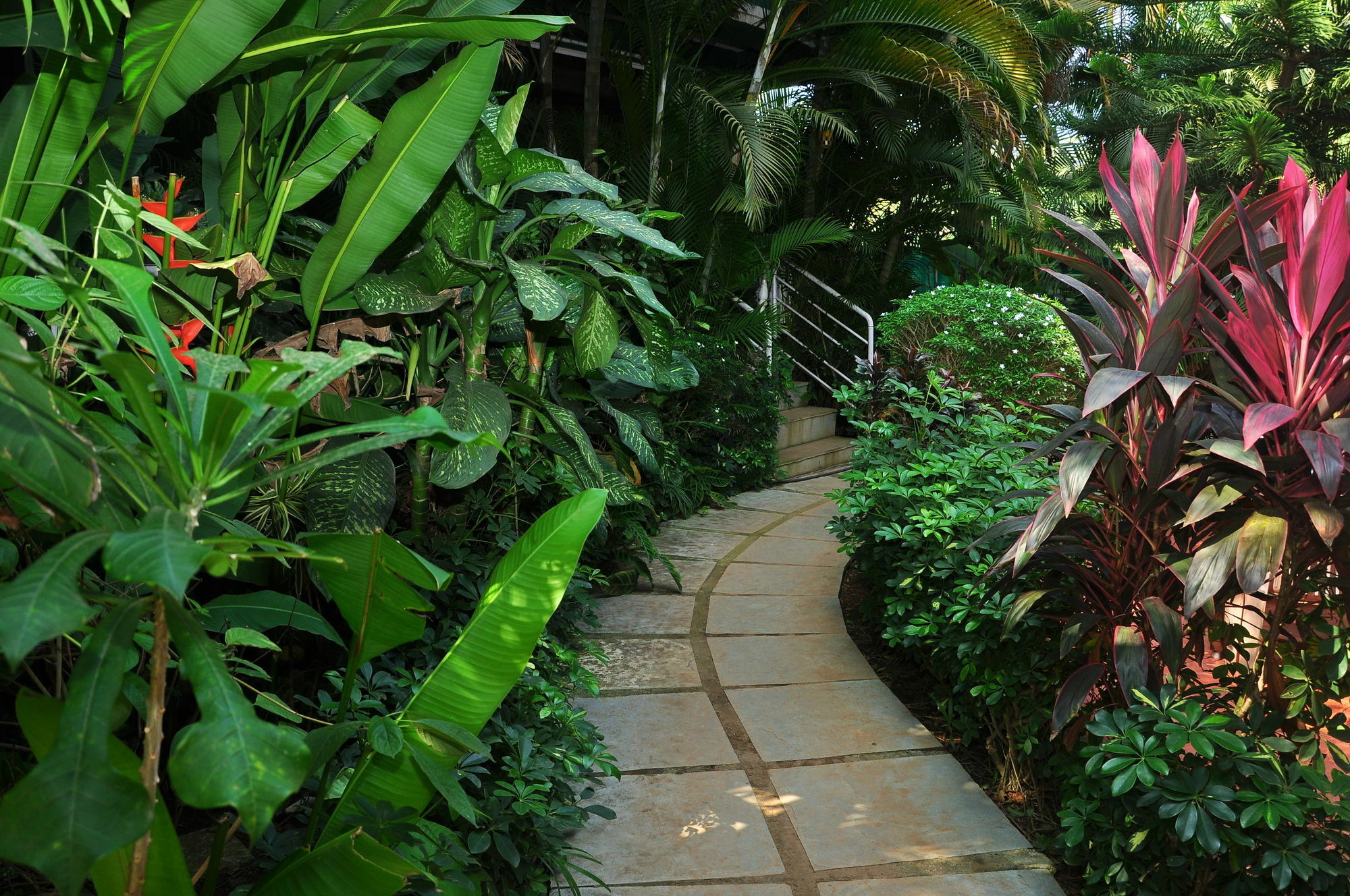 Villa Theresa Beach Resort Calangute Bagian luar foto